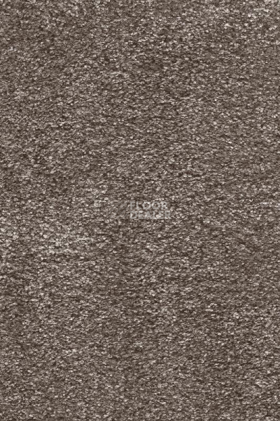 Ковролин AW Ventus 47 фото 1 | FLOORDEALER